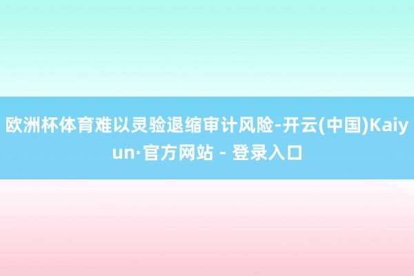 欧洲杯体育难以灵验退缩审计风险-开云(中国)Kaiyun·官方网站 - 登录入口